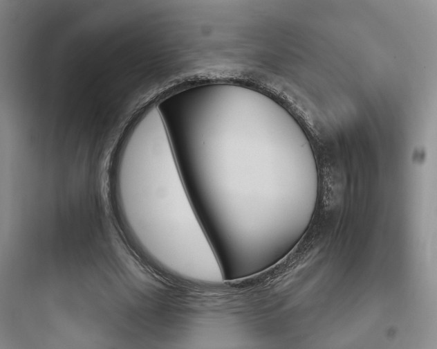 X0000097950631200803241019