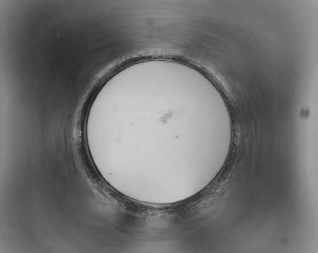 X0000097950632200803241019