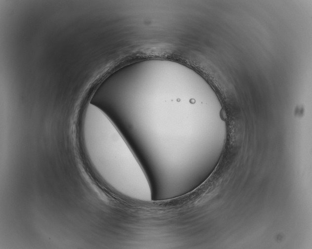 X0000097950634200803241019