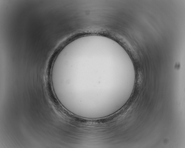 X0000097950636200803241019