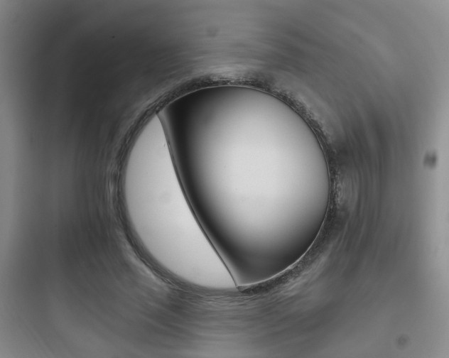 X0000097950637200803241019