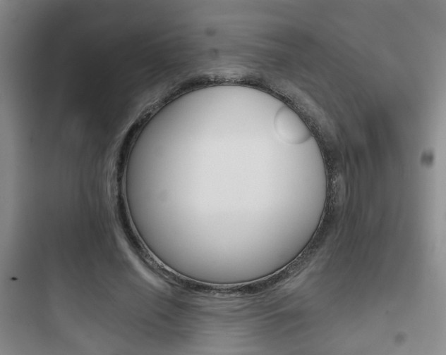 X0000097950638200803241019