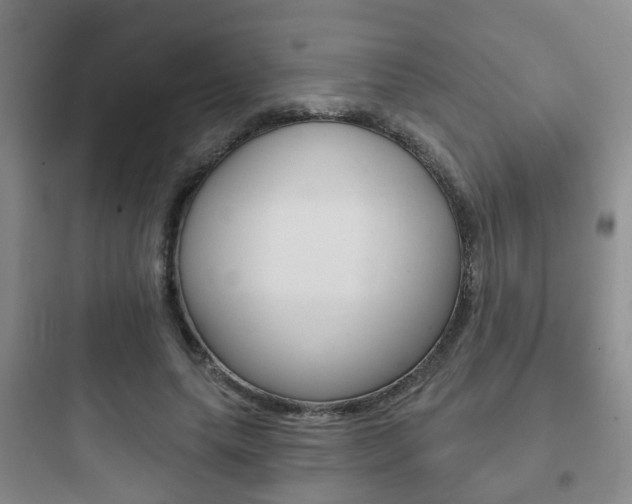 X0000097950639200803241020