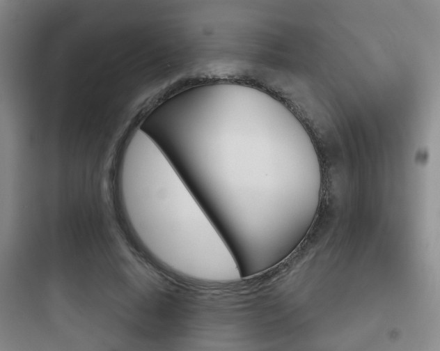 X0000097950640200803241020