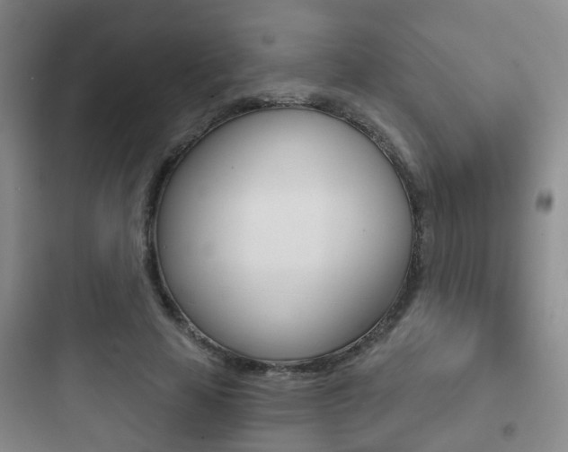 X0000097950641200803241020