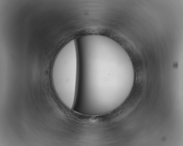 X0000097950647200803241020