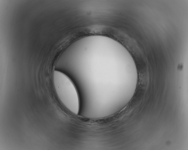 X0000097950648200803241020