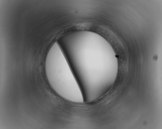 X0000097950649200803241020
