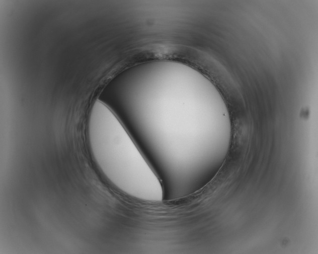 X0000097950650200803241020