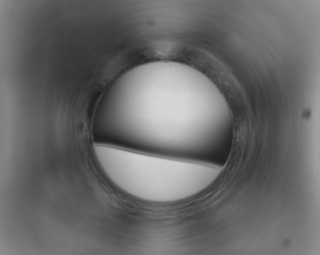 X0000097950651200803241020