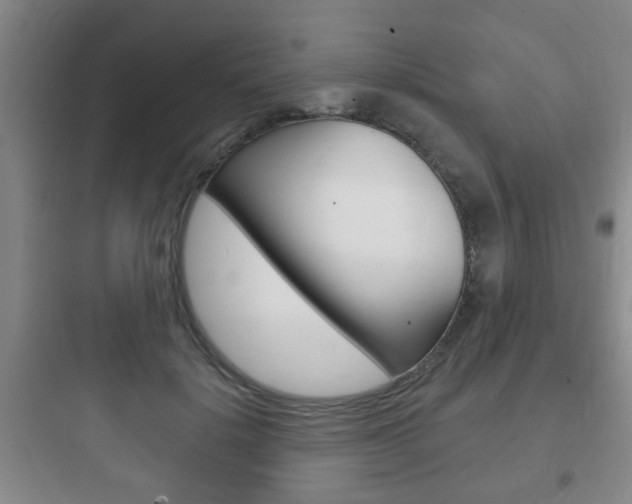 X0000097950652200803241020