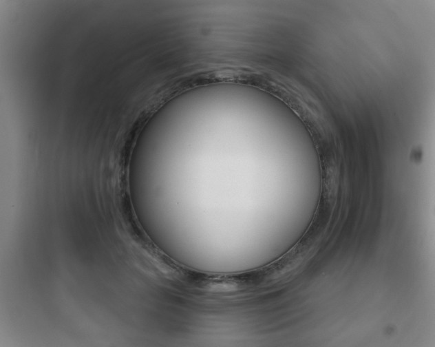 X0000097950653200803241020