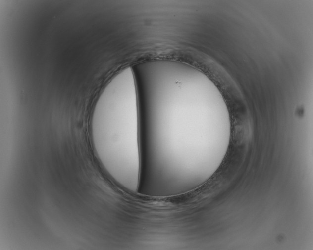 X0000097950654200803241020