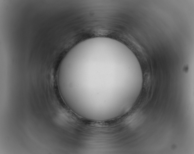 X0000097950655200803241020