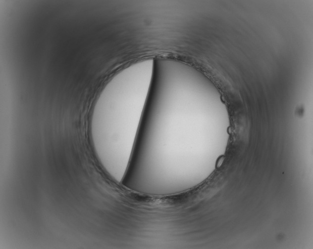 X0000097950656200803241020