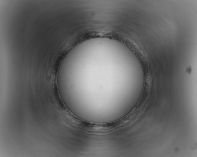 X0000097950657200803241020