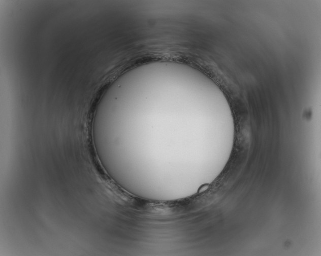 X0000097950658200803241020