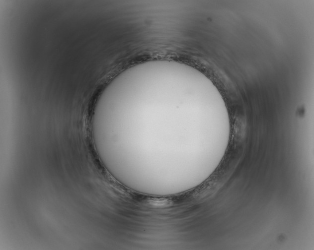 X0000097950659200803241020