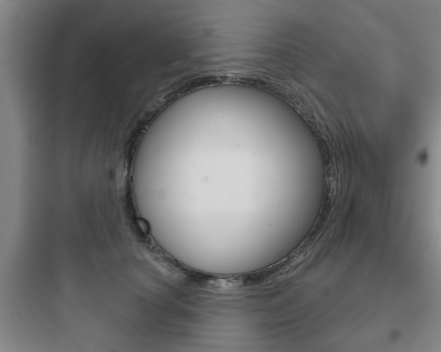 X0000097950660200803241020