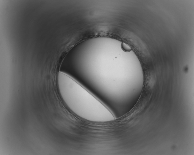 X0000097950661200803241020