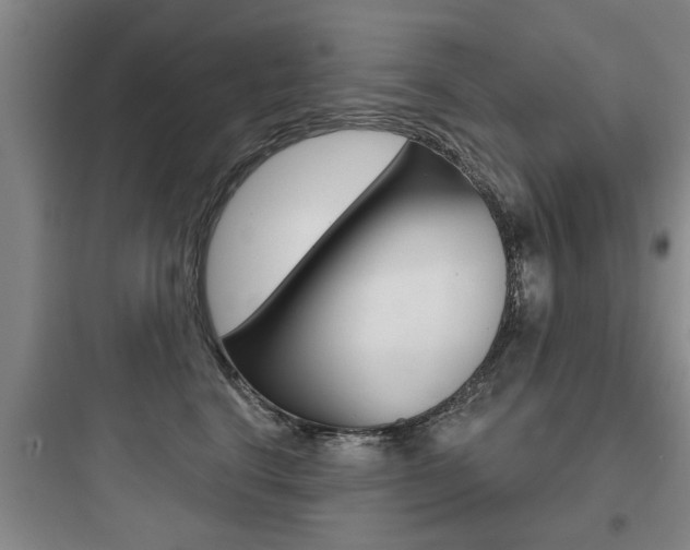 X0000097950664200803241020