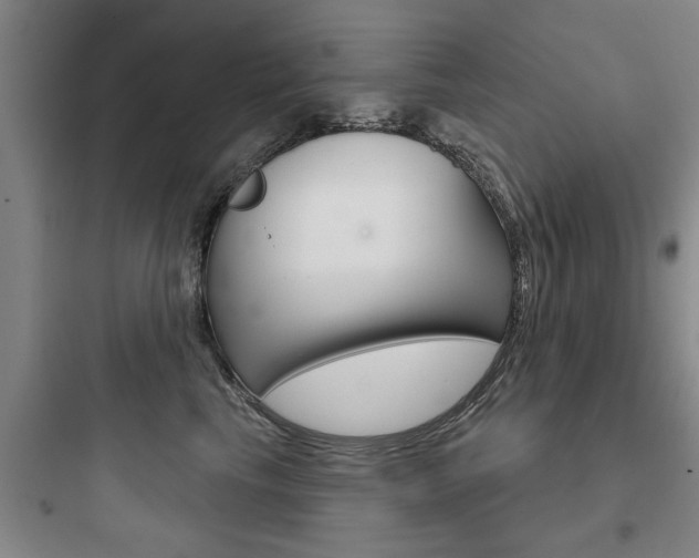 X0000097950665200803241020