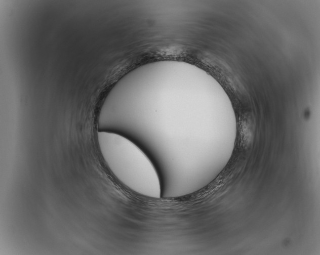 X0000097950668200803241020