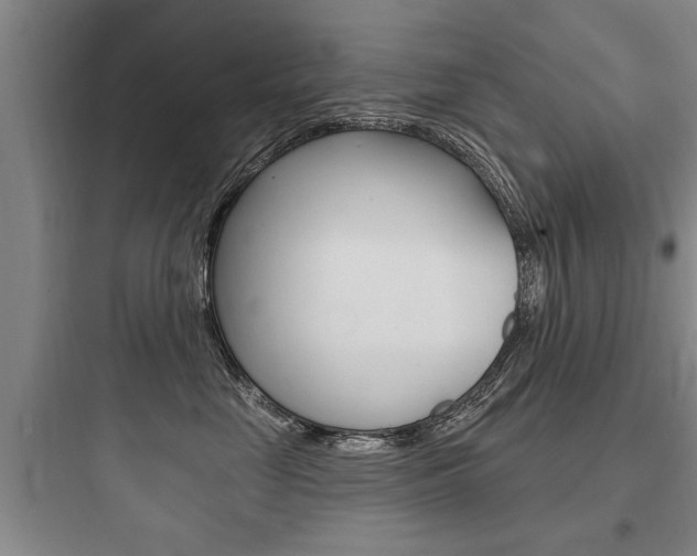 X0000097950669200803241020