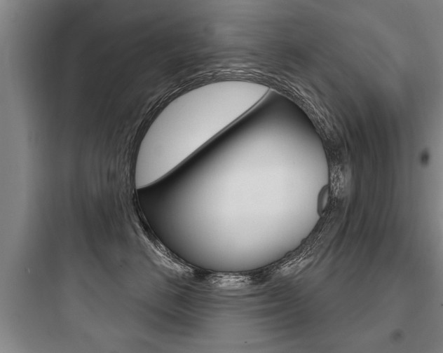 X0000097950670200803241020