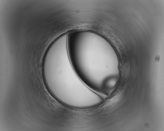X0000097950673200803241019