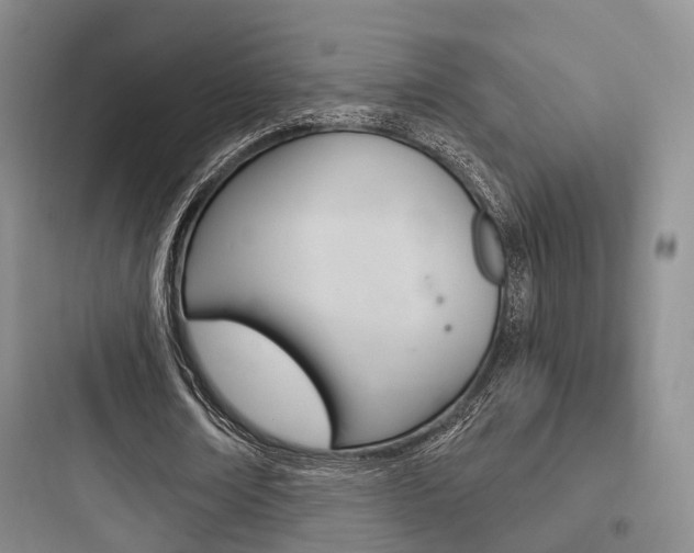 X0000097950674200803241019
