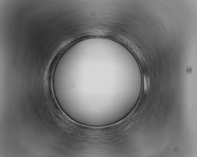 X0000097950675200803241019