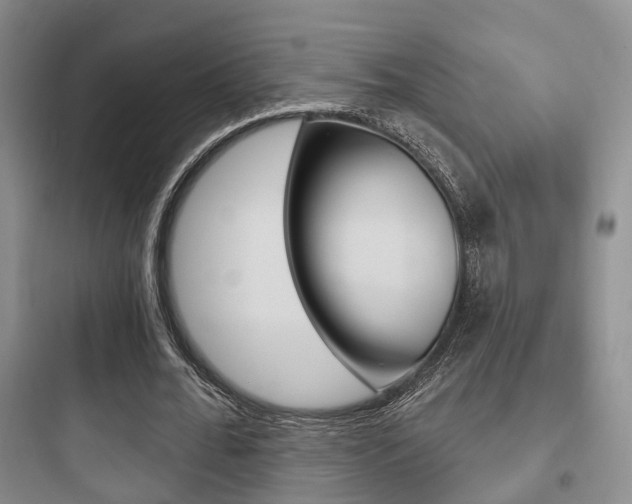 X0000097950676200803241019