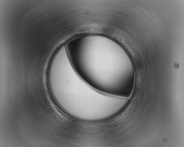 X0000097950677200803241019
