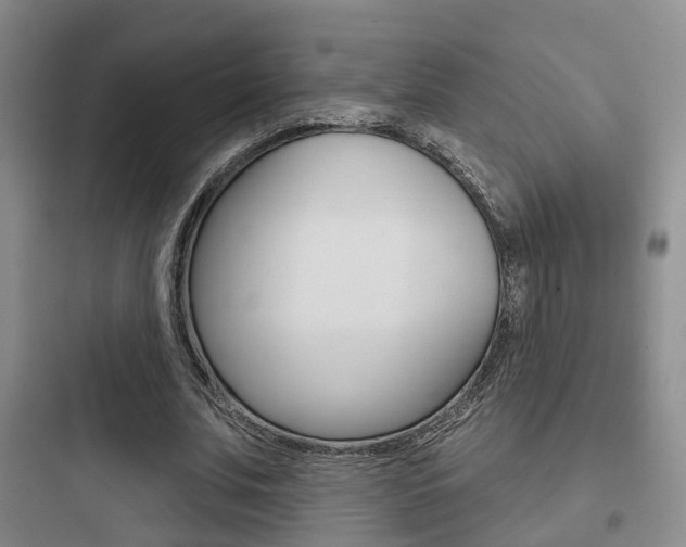 X0000097950679200803241019