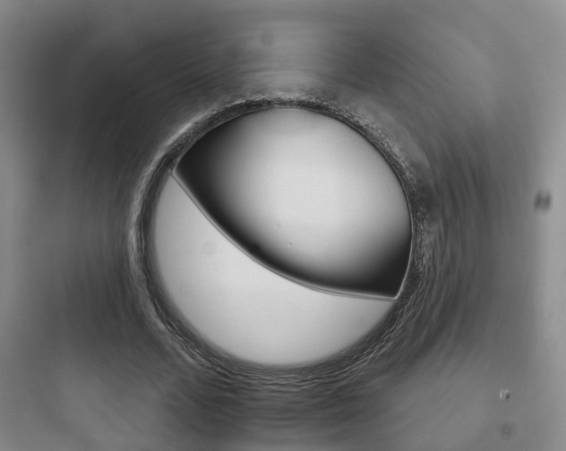 X0000097950680200803241019