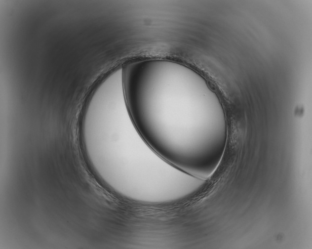 X0000097950681200803241019