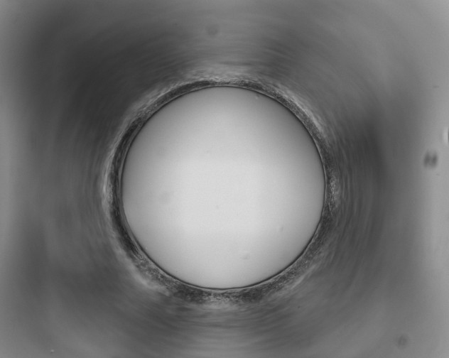X0000097950682200803241019
