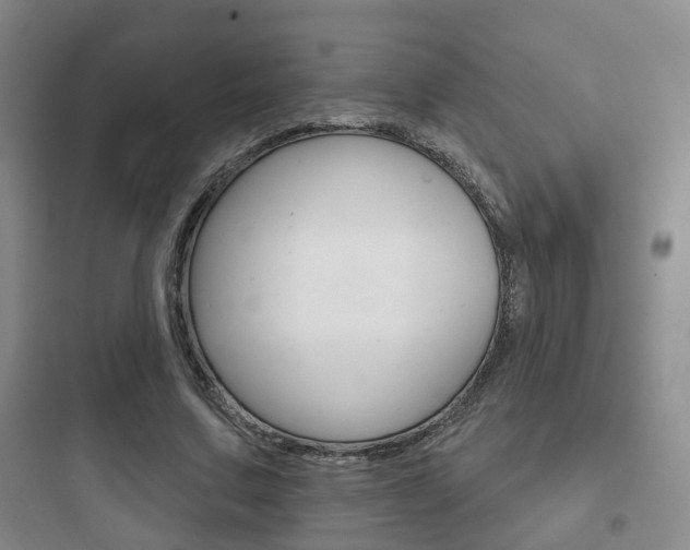 X0000097950683200803241019