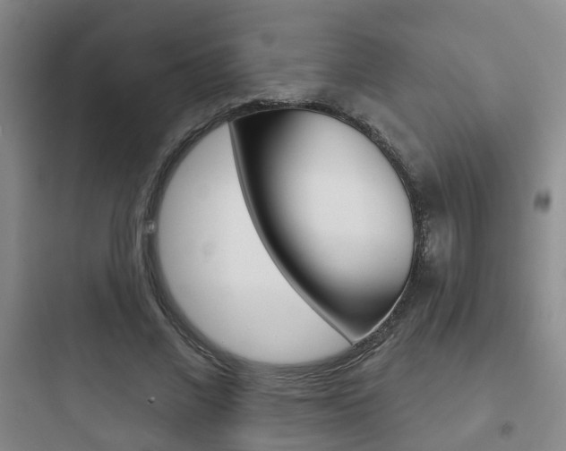 X0000097950685200803241019