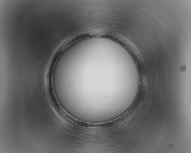 X0000097950686200803241019