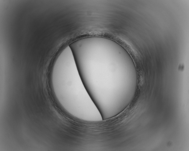 X0000097950687200803241019