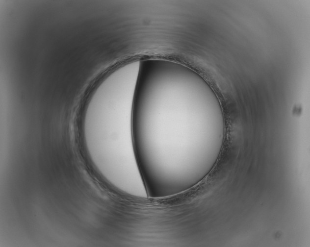 X0000097950688200803241019