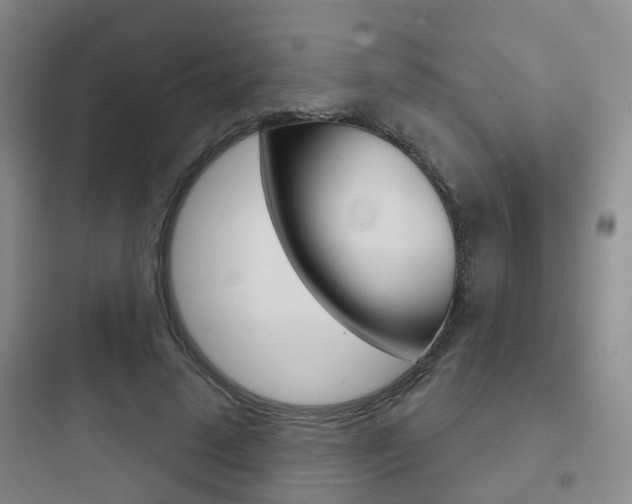 X0000097950689200803241019
