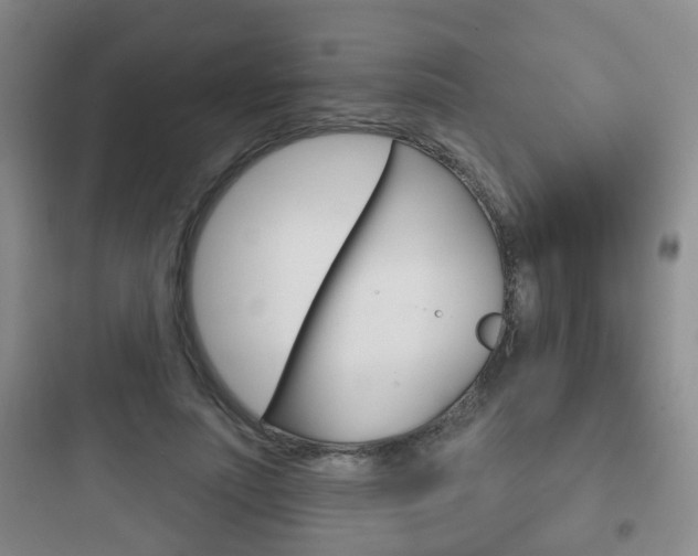 X0000097950691200803241019