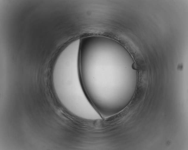 X0000097950692200803241019
