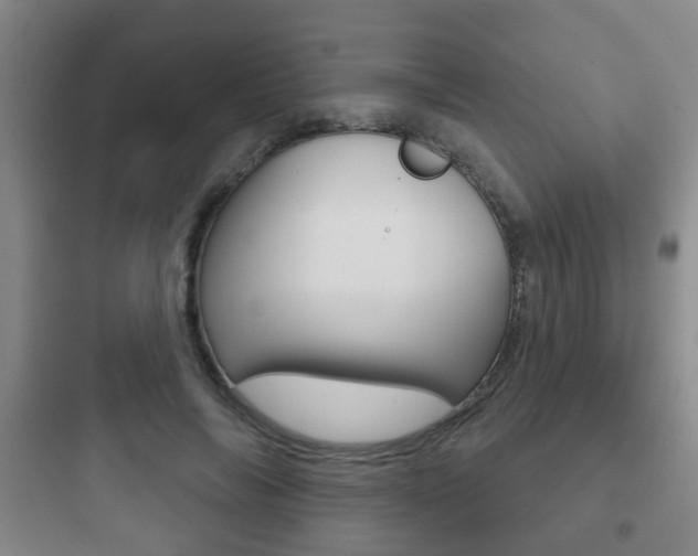 X0000097950694200803241019