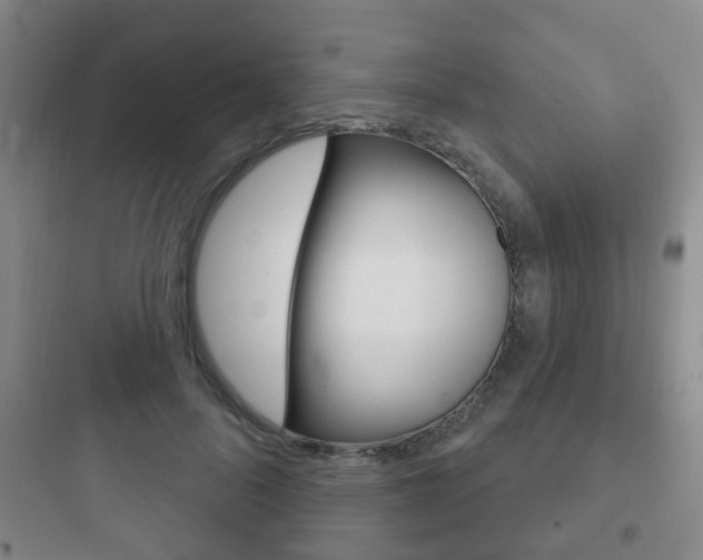 X0000097950696200803241019