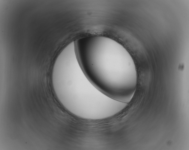 X0000097950697200803241019