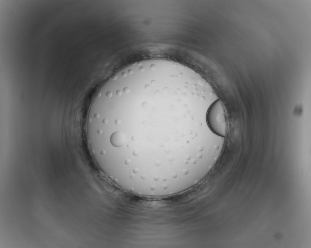 X0000097950698200803241019